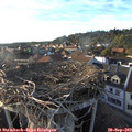 18_10-nest.jpg
