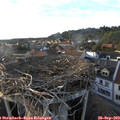 18_15-nest.jpg