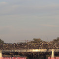 18_20-mast.jpg