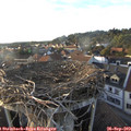 18_20-nest.jpg