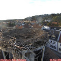 18_25-nest.jpg