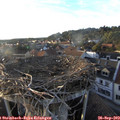 18_30-nest.jpg