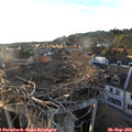 18_35-nest.jpg