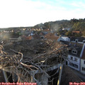 18_40-nest.jpg