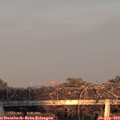 18_50-mast.jpg