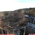 18_50-nest.jpg