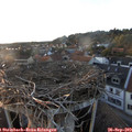 18_55-nest.jpg