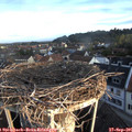 07_30-nest.jpg
