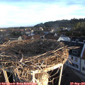 07_35-nest.jpg