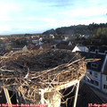 07_40-nest.jpg