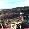 07_45-nest.jpg