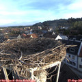 07_50-nest.jpg