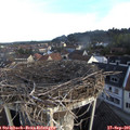 07_55-nest.jpg