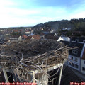 08_00-nest.jpg