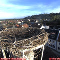 08_05-nest.jpg