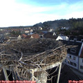 08_10-nest.jpg