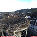 08_15-nest.jpg