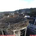08_20-nest.jpg