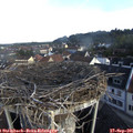 08_30-nest.jpg