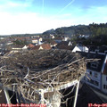 08_35-nest.jpg