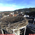 08_40-nest.jpg