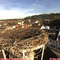 08_55-nest.jpg
