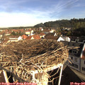 09_05-nest.jpg