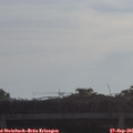 09_15-mast.jpg