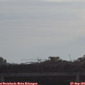 09_20-mast.jpg