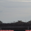 09_25-mast.jpg