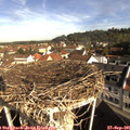 09_25-nest.jpg