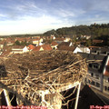 09_30-nest.jpg