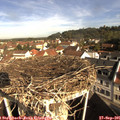 09_35-nest.jpg