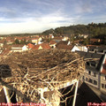 09_40-nest.jpg