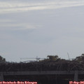 09_45-mast.jpg