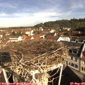 09_45-nest.jpg