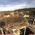 09_50-nest.jpg