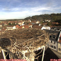 09_55-nest.jpg