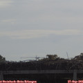10_00-mast.jpg