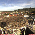 10_00-nest.jpg