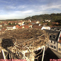 10_05-nest.jpg