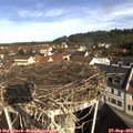 10_10-nest.jpg