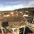 10_15-nest.jpg