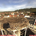 10_20-nest.jpg