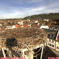 10_25-nest.jpg