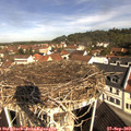 10_30-nest.jpg