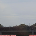 10_35-mast.jpg