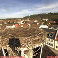 10_40-nest.jpg