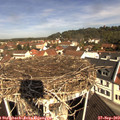 10_45-nest.jpg