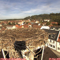 11_05-nest.jpg